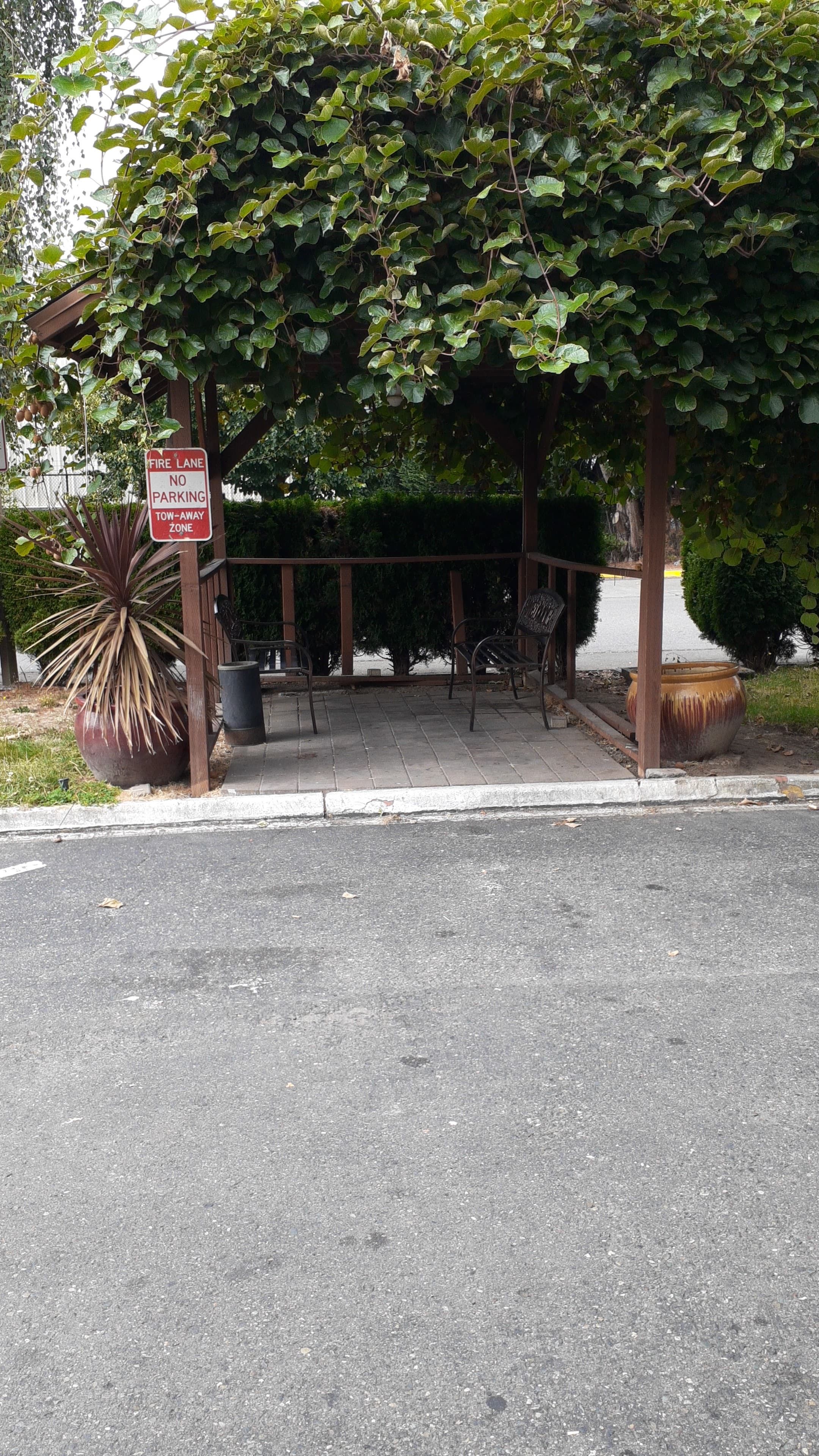 A fire lane with a no parking sign, a bench, and a planter with a large plant.
