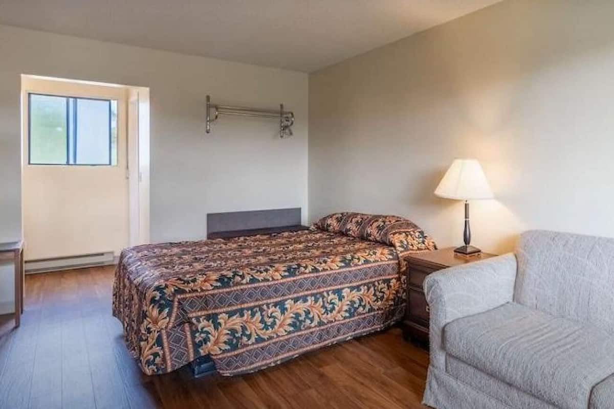 A room with a bed, a sofa, a lamp, and a window.