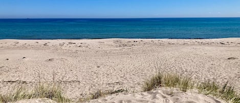 Playa en los alrededores y pesca