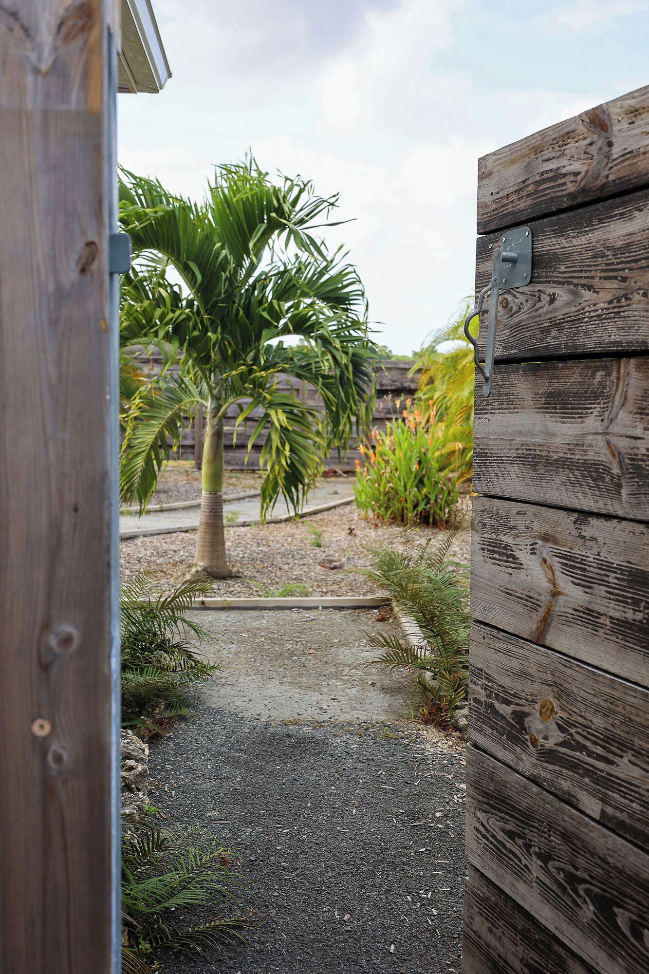 A wooden gate leading to a gravel path with a palm tree and various plants.