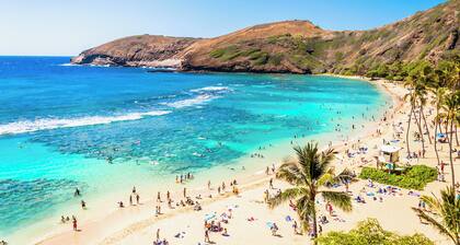 Bright & Cozy Stay Near Waikiki Beach + Parking