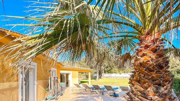 Una casa con patio, piscina e una palma.