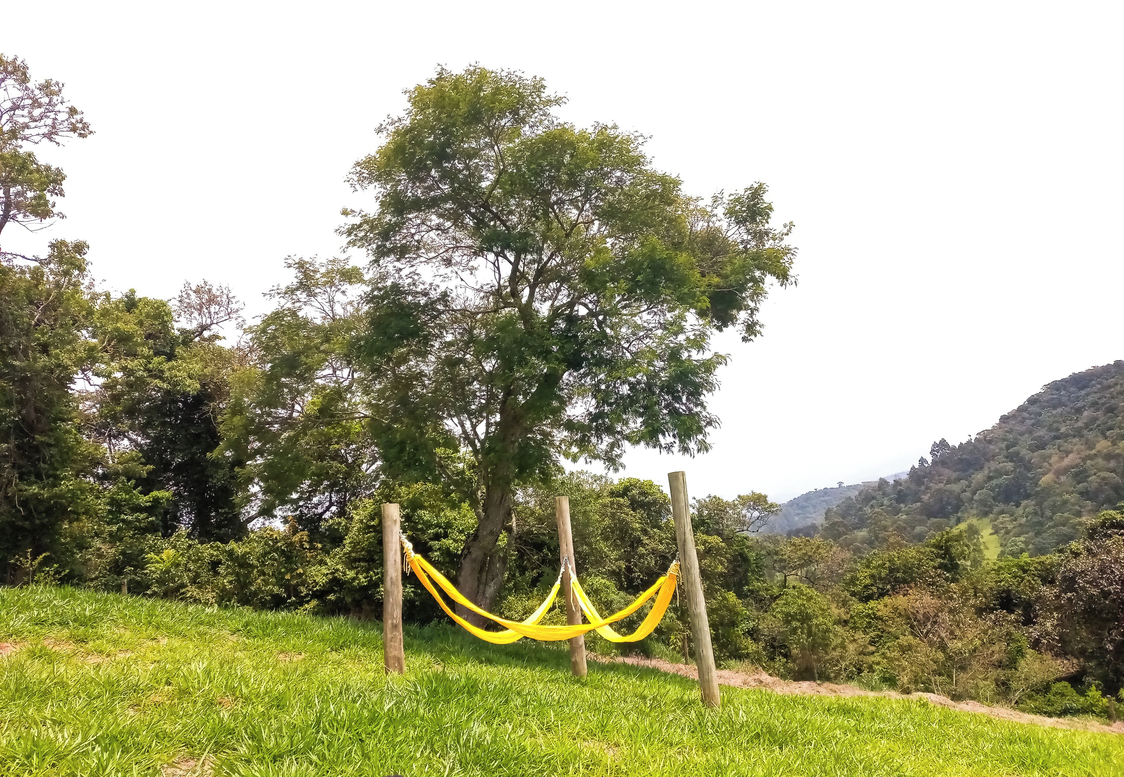 A hammock tied between two wooden posts in a grassy field with trees and hills in the background.