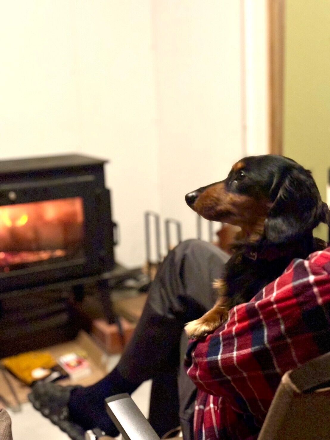 Una persona sentada en un sofá con un perro.
