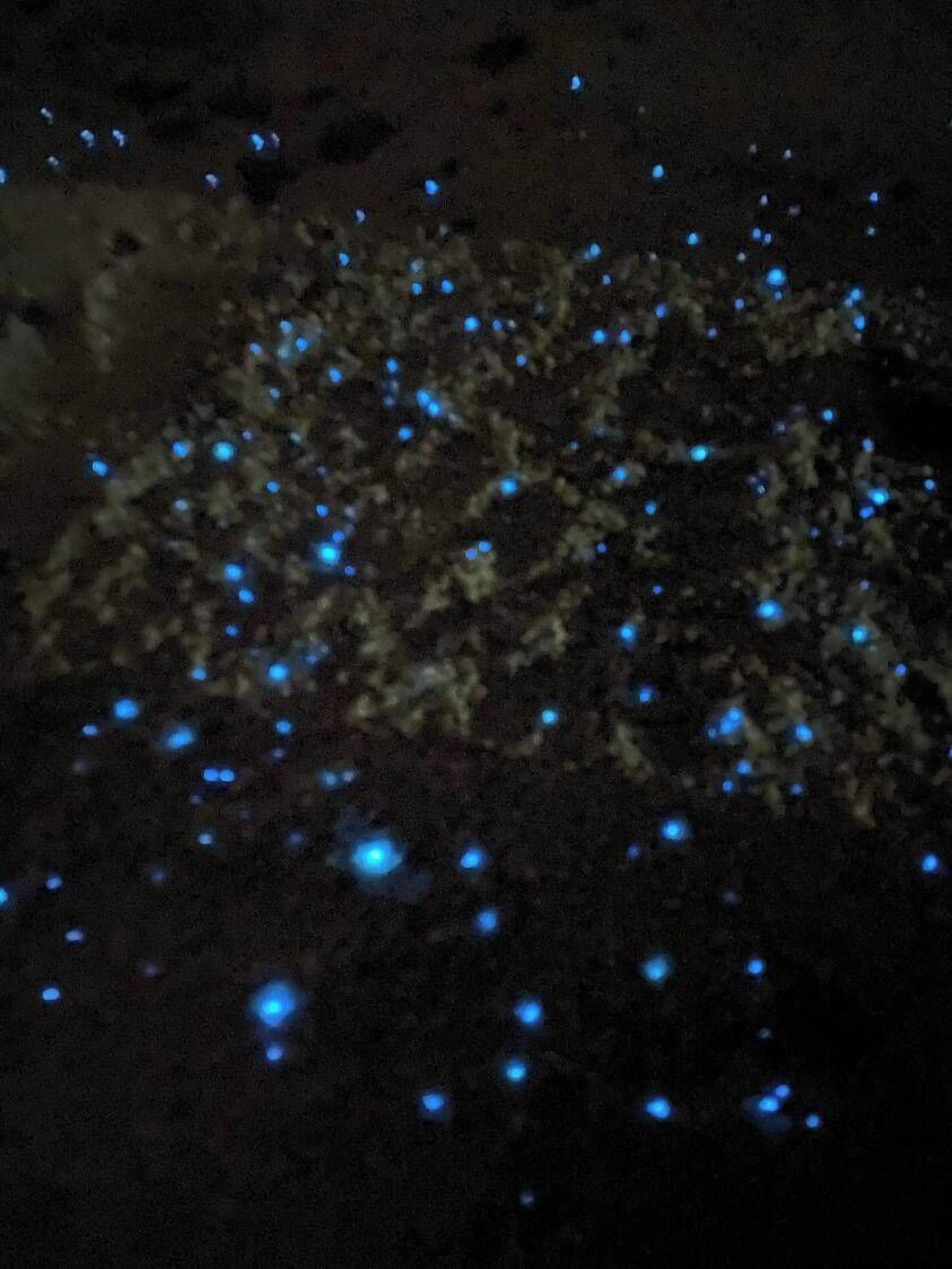 A dark surface with scattered blue lights.