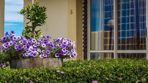 Ein Gebäude mit der Nummer 5 an der Wand, ein Holz-Pflanzgefäß mit violetten und weißen Blumen und ein Fenster mit Blick auf den Himmel.
