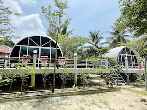 Garden view