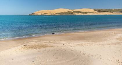 Northland/Hokianga/Opononi
Stunning beach house for sunset
Orca