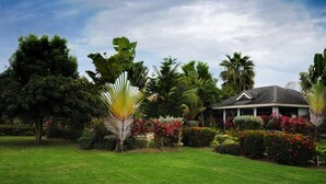 Un exuberante jardín con diversas plantas tropicales y un edificio de techo oscuro.