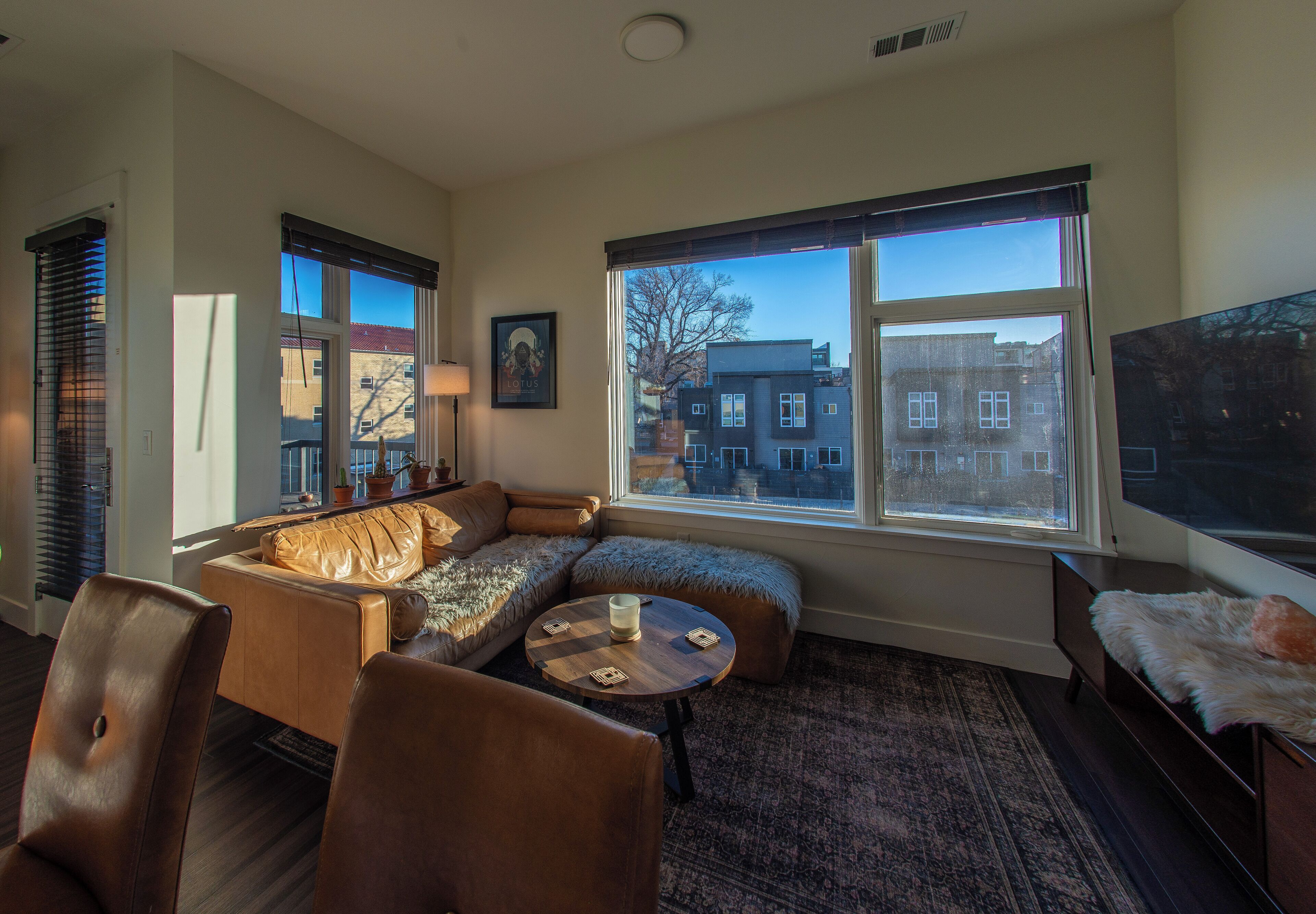 Smart TV, books, computer monitors