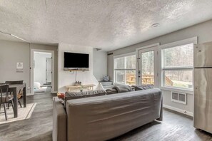 TV, fireplace, DVD player, offices