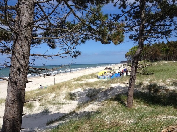 Plage à proximité