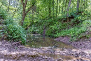 Un paisaje natural con un arroyo fangoso rodeado de follaje verde y árboles densos.