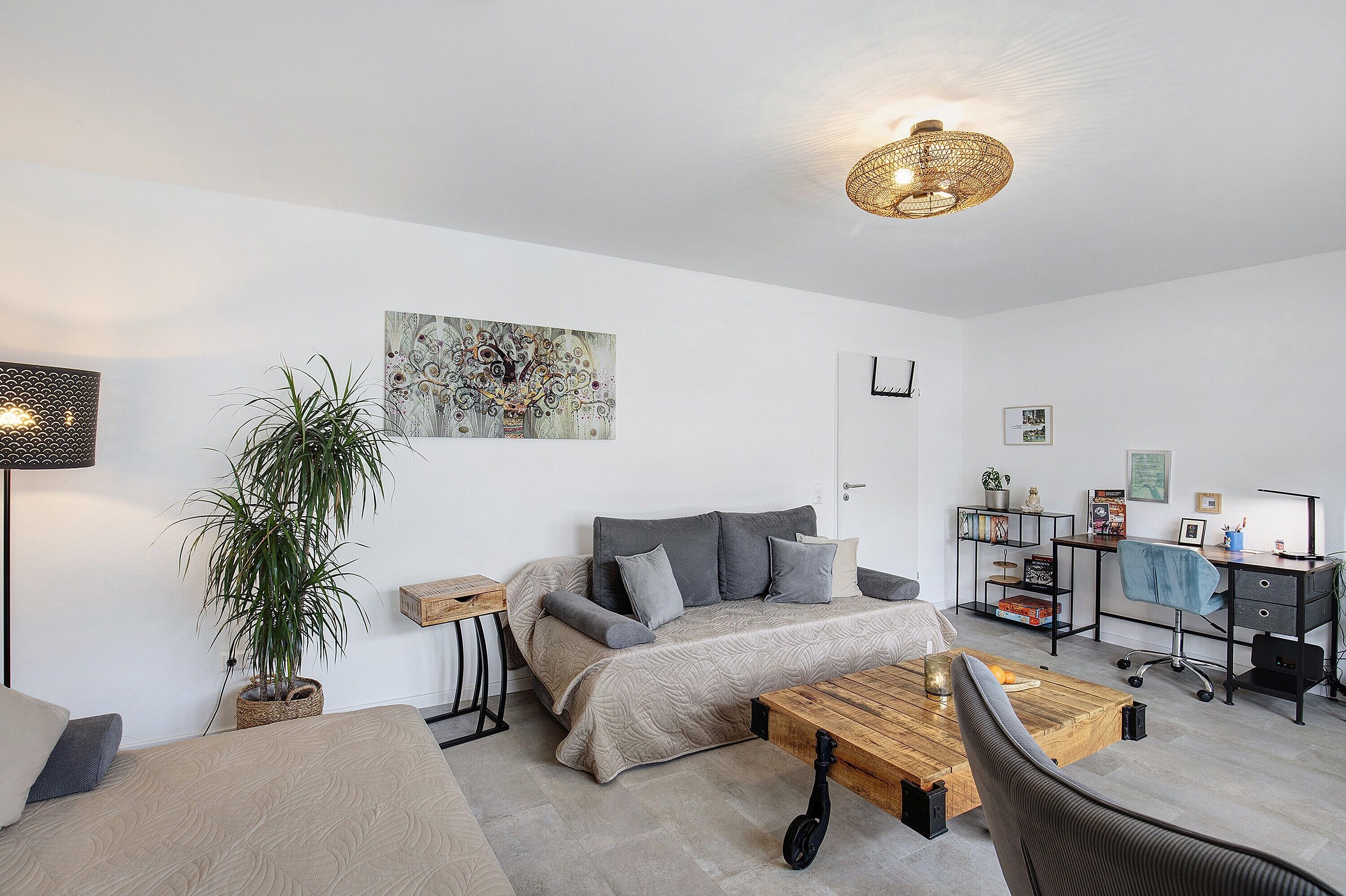 Un salon moderne avec un canapé, une table basse et une plante.
