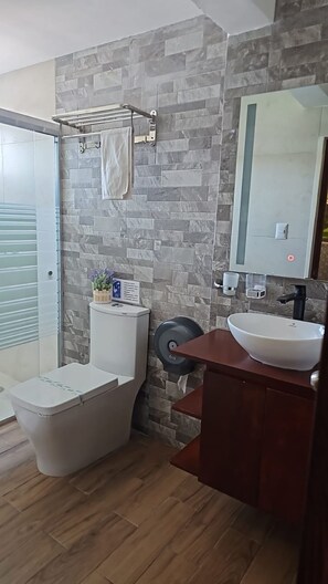 Chuveiro, secador de cabelo, toalhas de banho, sabonete