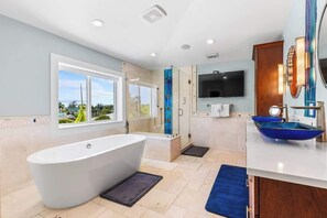 Shower, hair dryer