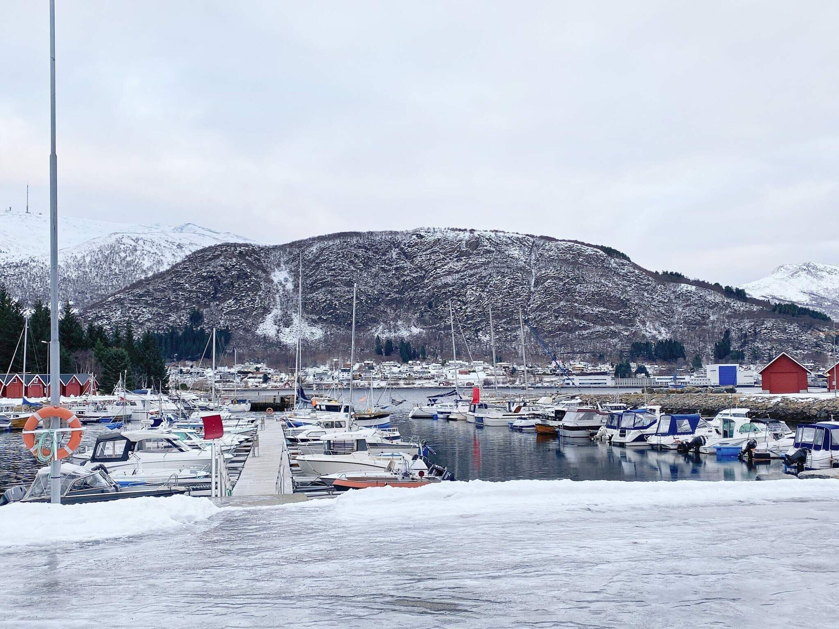 Talo | Lumi- ja hiihtourheilulajit