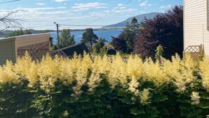A view of a house with a garage and a shed, surrounded by tall grasses and trees, with a body of water and mountains in the background. - 9 Person Holiday Home in Sovik (Ålesund)