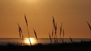 A sunset over a body of water with silhouetted grass in the foreground. - Deichloft Modern Retreat (Wurster Nordseeküste)