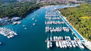 Une vue aérienne d’une marina où sont amarrés de nombreux bateaux, entourée d’une végétation luxuriante et avec, au loin, le paysage urbain.