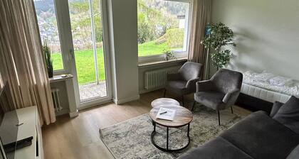 Ferienwohnung mit Terrasse bei Winterberg