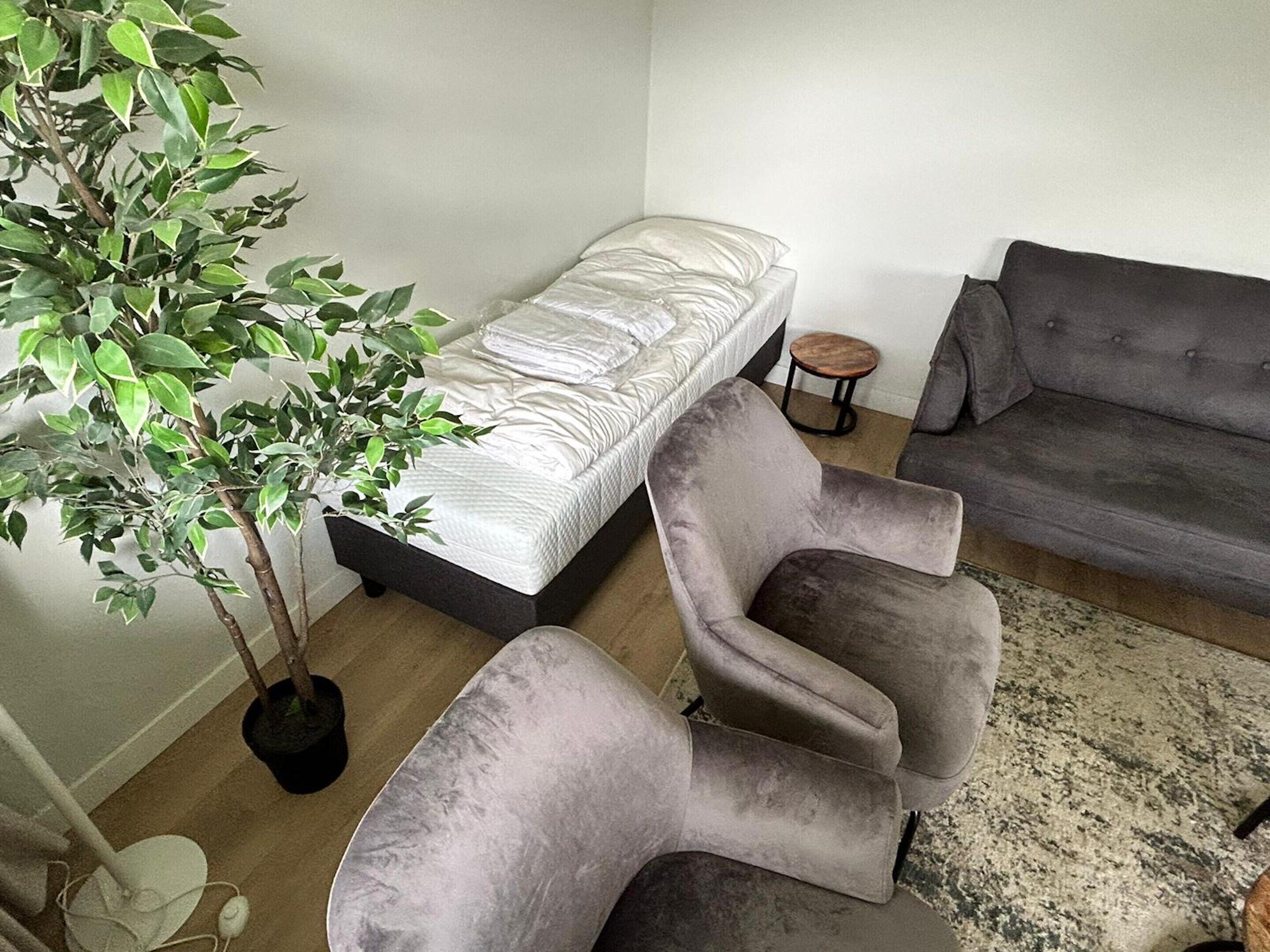 Una sala de estar moderna con un sofá gris, un sillón gris, una mesita redonda y una planta en maceta.