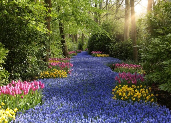 Vue depuis l’hébergement