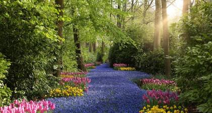 Holiday Home in Noordwijk Near Beach