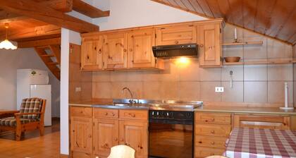 Pet-friendly Mountain Home