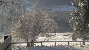 Vista desde la propiedad
