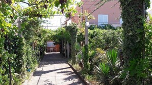 Un sentier bordé d’une végétation luxuriante, avec un bâtiment visible au loin.