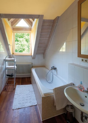 House | Bathroom - am Schonwasen Comfortable Holiday Residence (Freiamt)