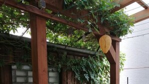 A wooden pergola with climbing plants, a small bush, and a pathway with stepping stones. - Comfort Apartment Comfortable Holiday Residence (Wernigerode)