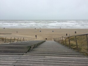 Playa