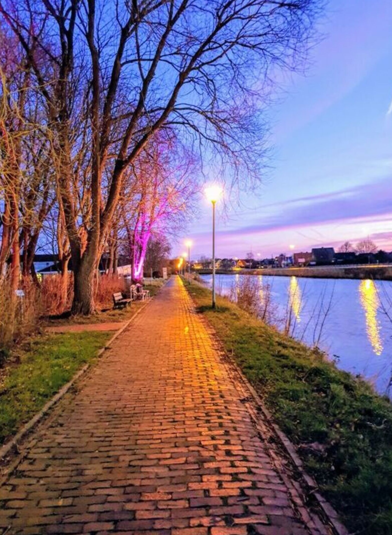 A paved walkway beside a body of water with trees and street lamps.