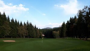 A golf course with a flagstick in the center, surrounded by dense trees and a clear sky. - Apartment mit Balkon Nahe am Erlebnisberg Kappe (Winterberg)
