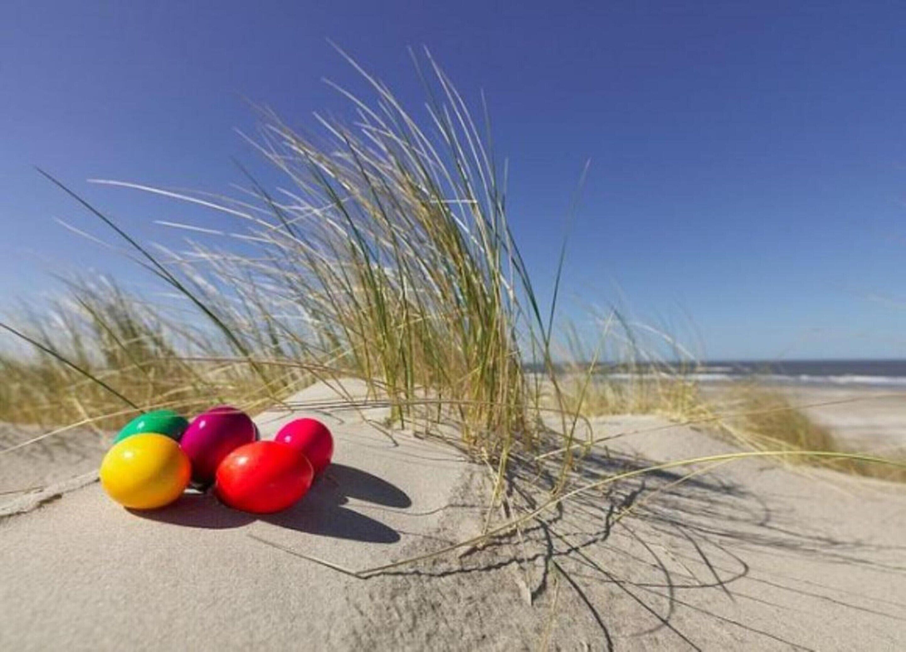 Une plage de sable avec des balles colorées et de l’herbe.