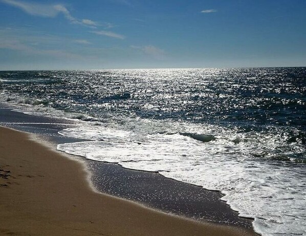 Beach - Holiday Apartment Lust on Sylt (Sylt)