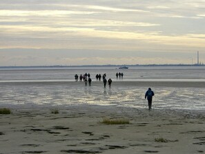 A beach with people walking along the shore.