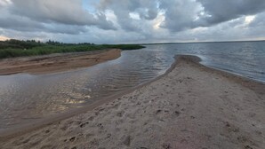 A beach with a sandy shore and a calm body of water. - 4 Person Holiday Home in Hemmet (Hemmet)