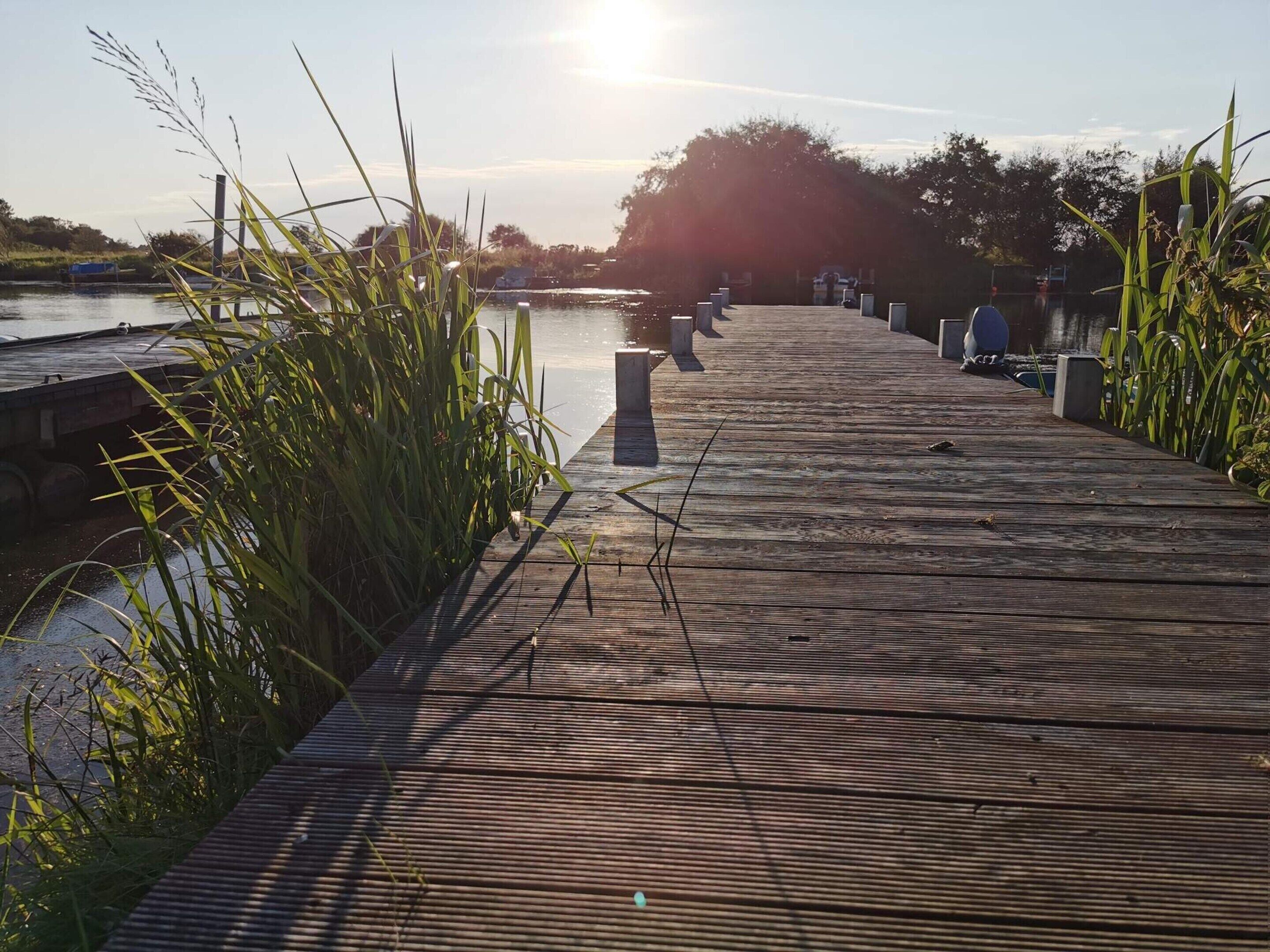A wooden boardwalk leading to a body of water, surrounded by tall grasses and trees.