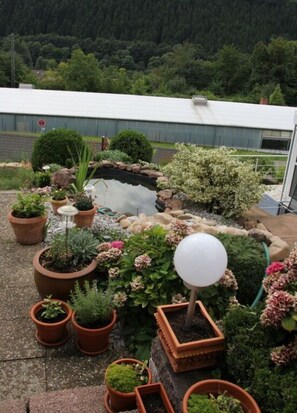 Vistas desde el alojamiento