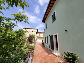 A narrow alleyway with a building on the right, a small window, and a potted plant.