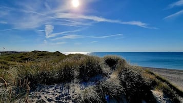 A beach with dunes and a clear sky.