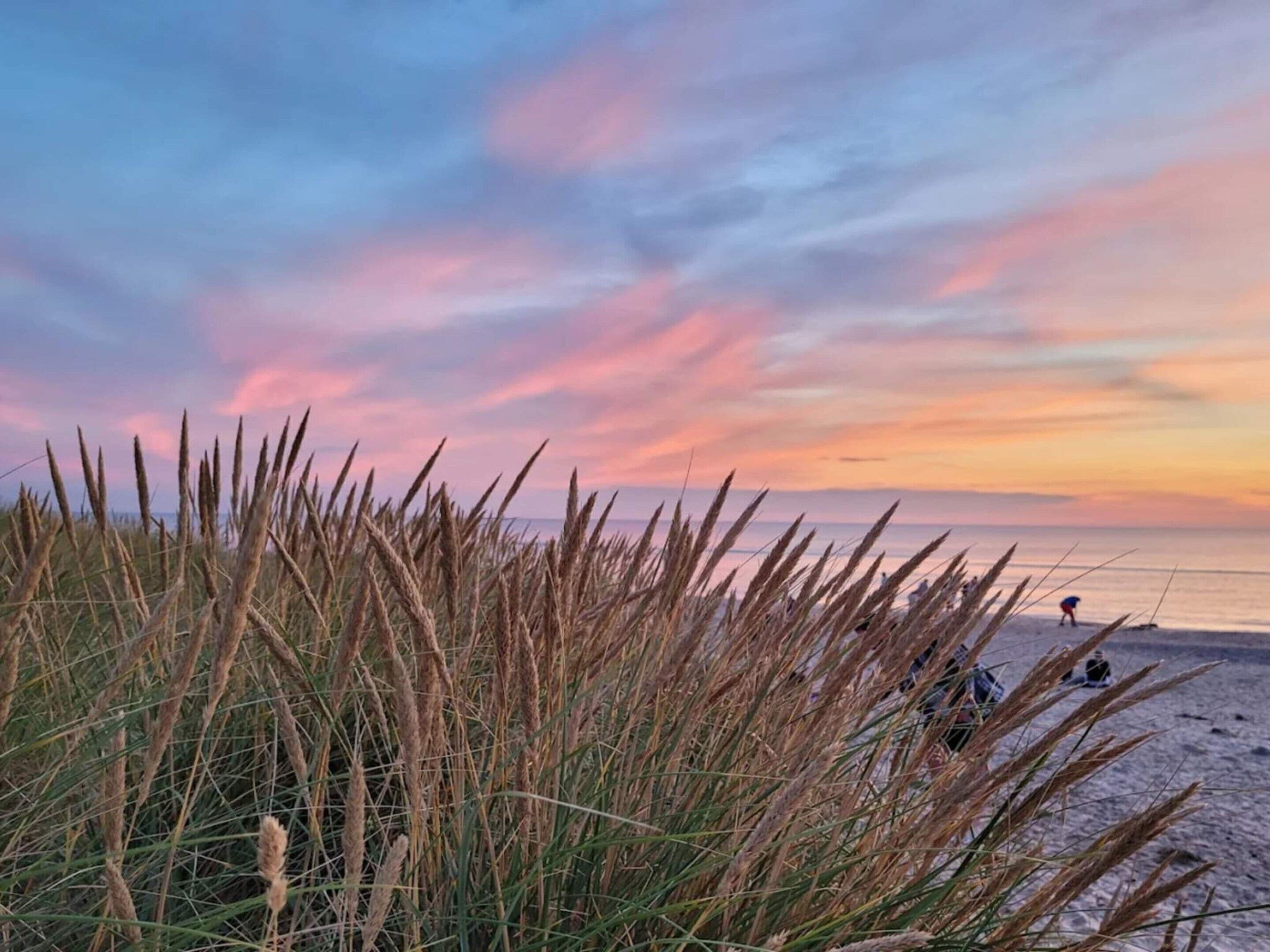A beach scene with tall grass in the foreground and a sunset in the background.