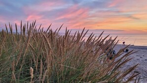 Escena de playa con hierba alta en primer plano y una puesta de sol al fondo.