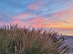 A beach scene with tall grass in the foreground and a sunset in the background. - 6 Person Holiday Home in Skagen (Skagen)