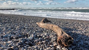 A pebbled beach with a large driftwood log in the foreground.