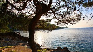 A coastal scene with a rocky shoreline, a tree, and a body of water. - Apartments Sunset - Two Bedroom Apartment With Terrace and Sea View (Blato)