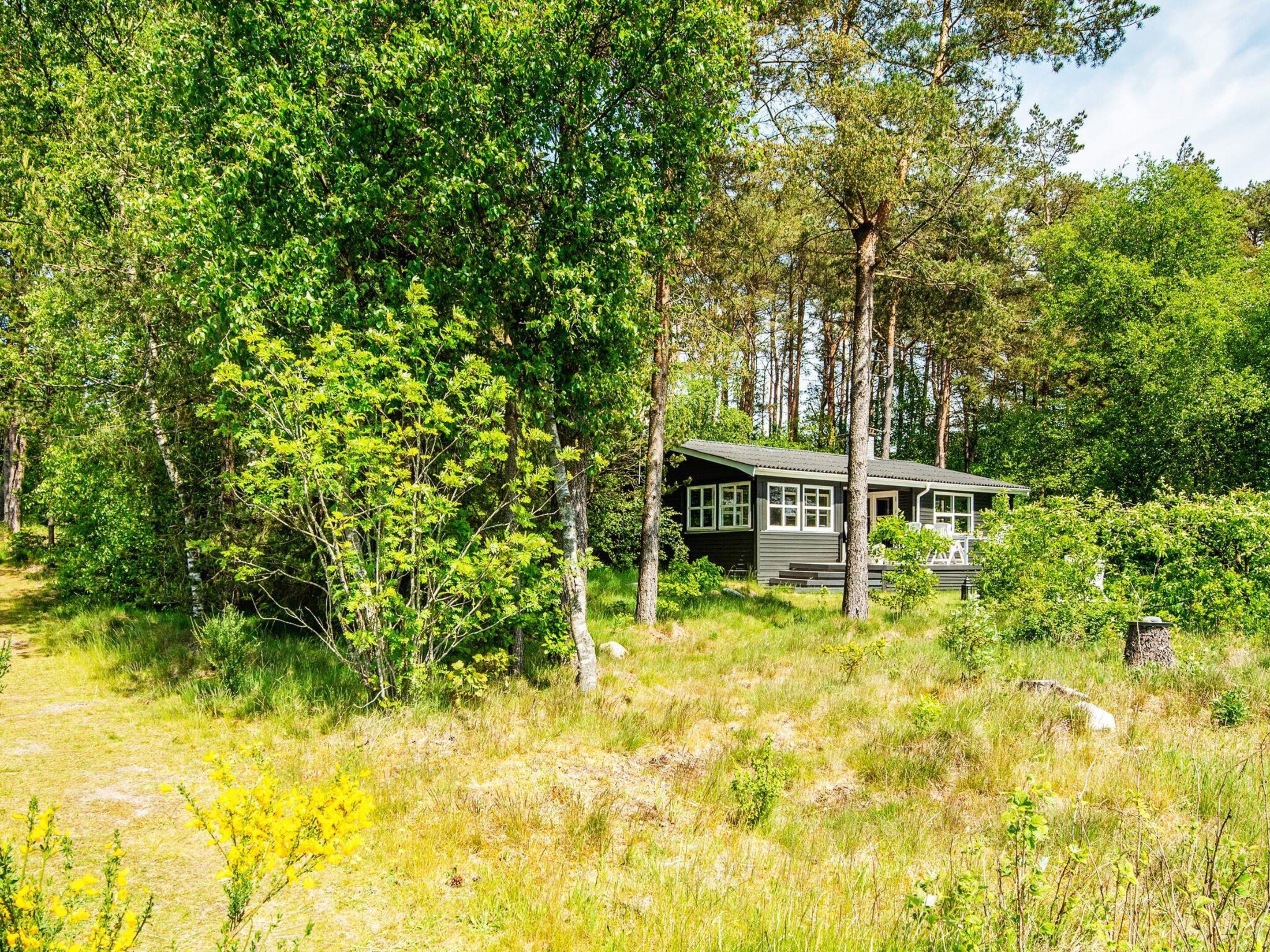 Una cabaña rodeada de un bosque denso, con un sendero despejado que lleva a ella.